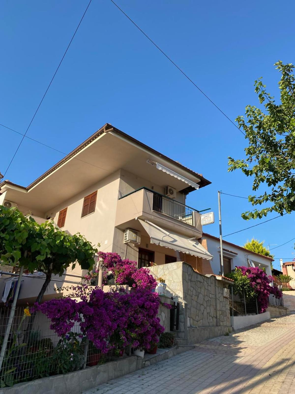 Apartamento Miranda